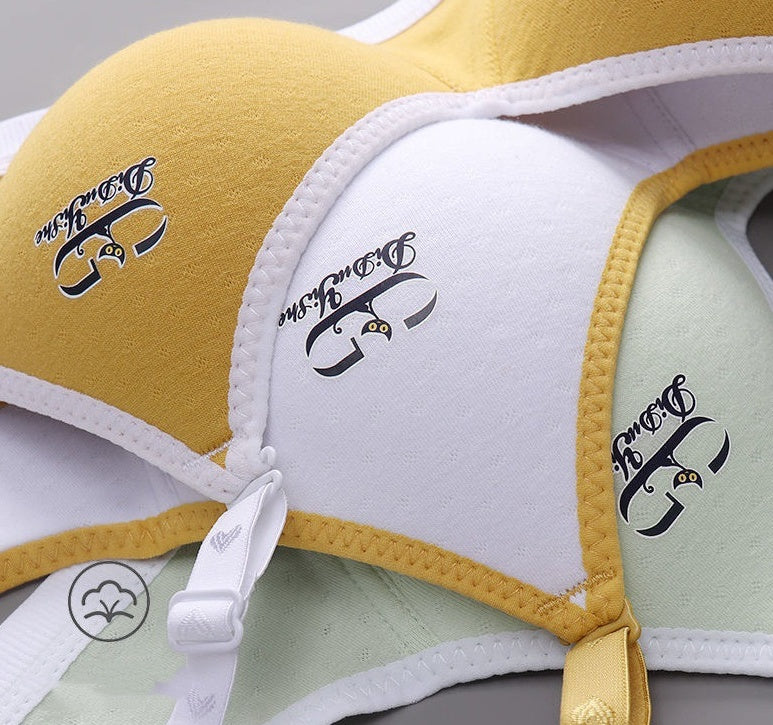 Japanese Style Small Chest Push Up Bra - Leverage On Heroes Women Store