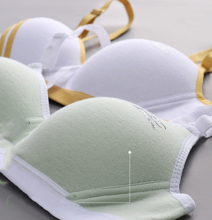 Japanese Style Small Chest Push Up Bra - Leverage On Heroes Women Store